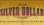 Silver Dollar Casino